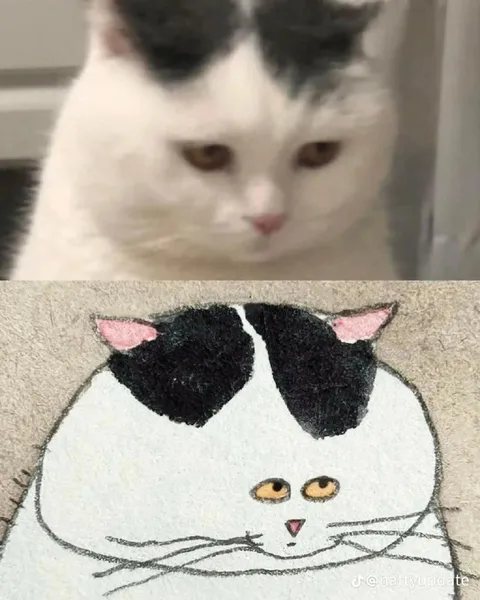 Кот и его грустный рисунок