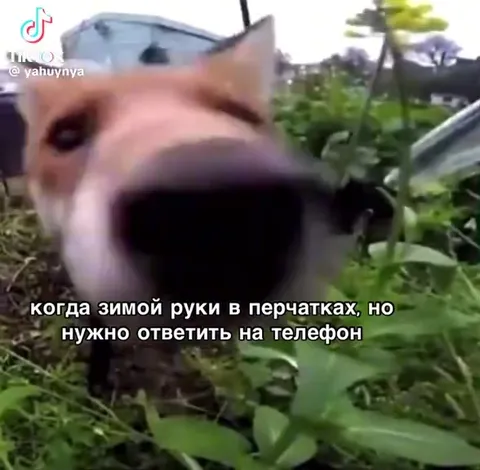 Когда нужно ответить в перчатках