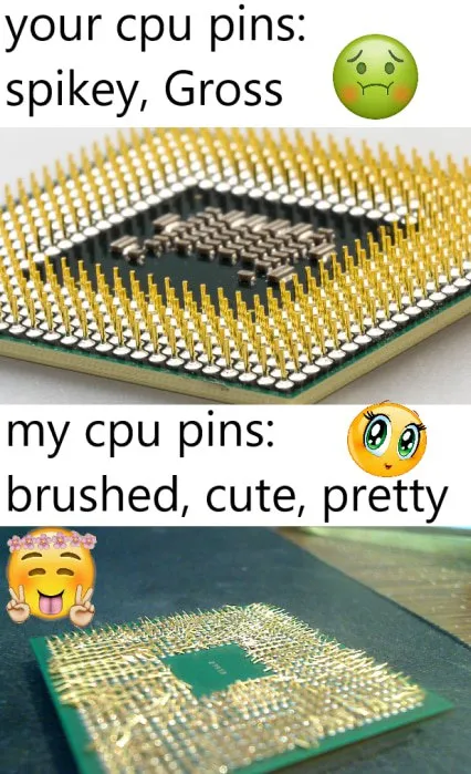 Your CPU Pins vs My CPU Pins