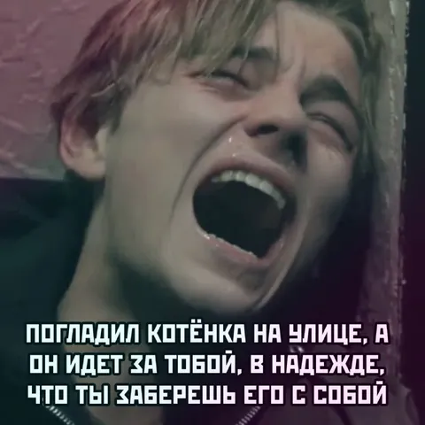 Котёнок идёт за тобой