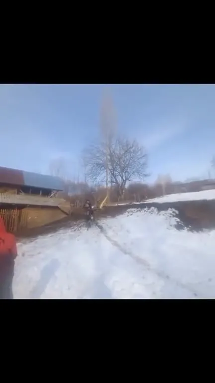 Осёл в зимней деревне