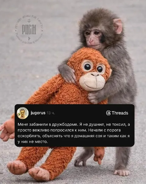 Меня забанили в дружболоме