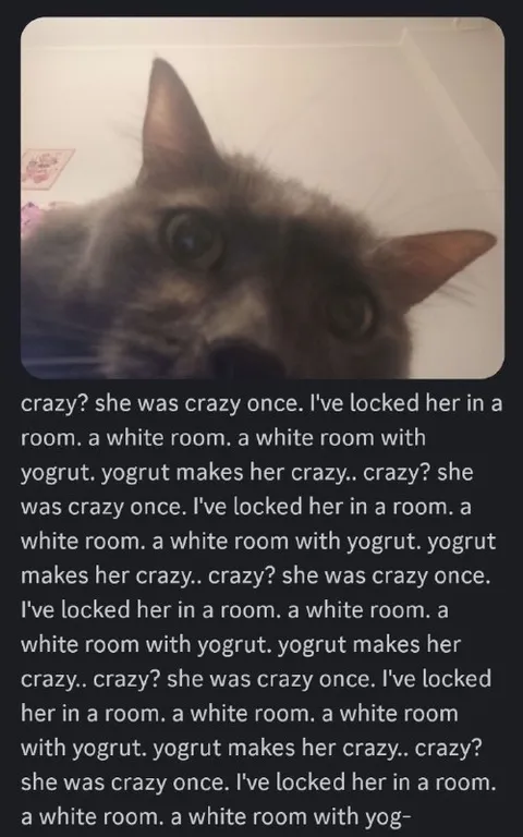 Crazy Cat in the Yogurt Room
