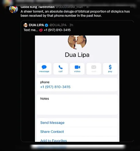 Dua Lipa Phone Number Leak