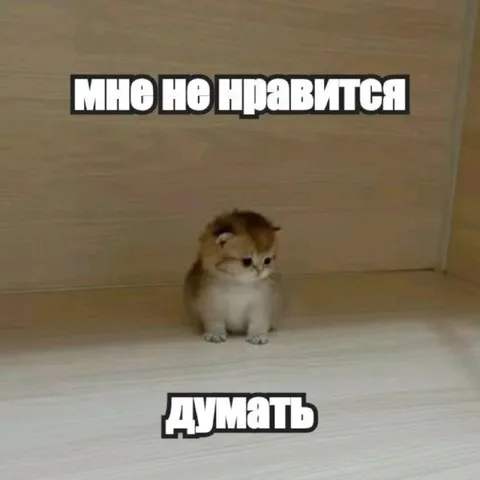 Котёнок не хочет думать
