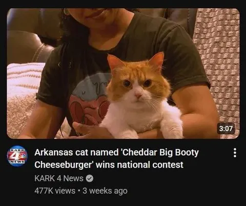 Cheddar Big Booty Cheeseburger Cat