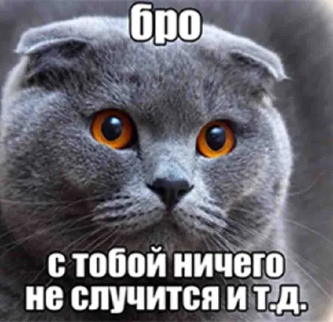 Бро, всё будет хорошо