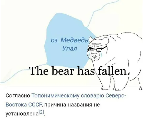 Медведь упал на карте