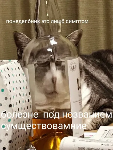 Понедельник — лишь симптом