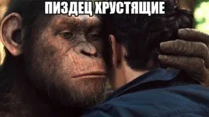 Пиздец хрустящие объятия