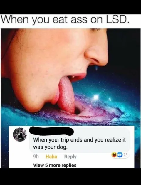 When Your Trip Ends