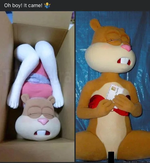 Oh Boy It Came Rabbit