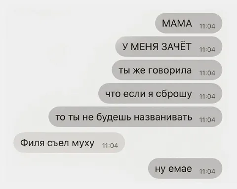 Филя съел муху