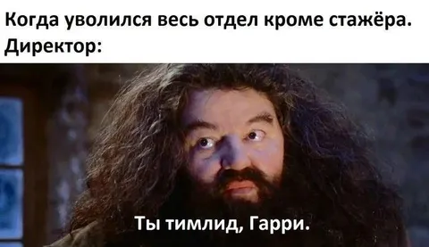 Стажёр стал тимлидом