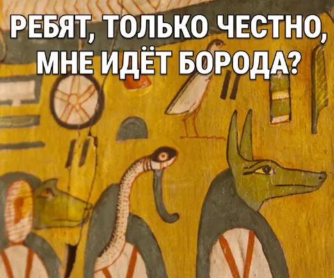 Мне идёт борода?