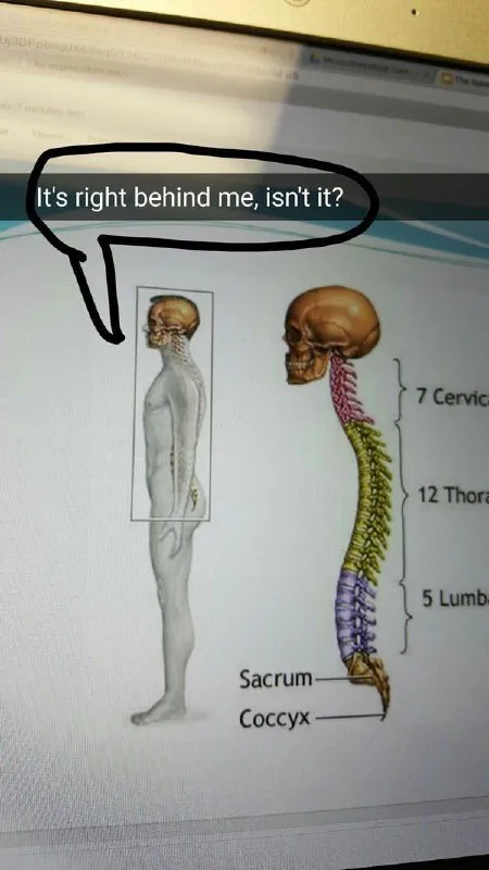 The Back Is Right Behind Me