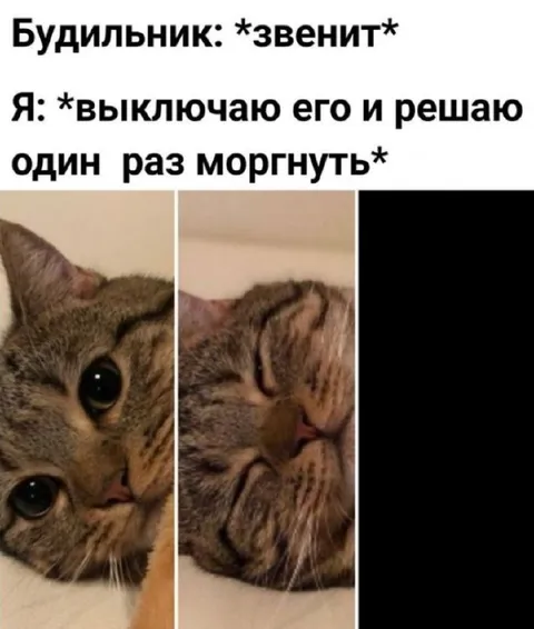 Один раз моргнуть и уснуть
