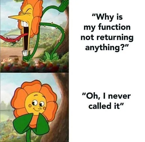 Why Is My Function Not Returning