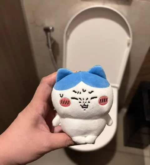 Котёнок над унитазом