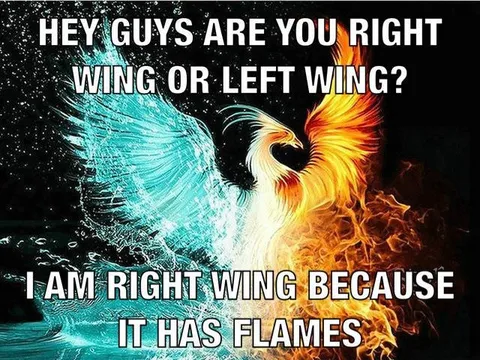 Right Wing Has Flames