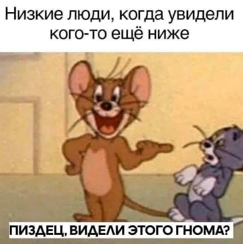 Низкие люди увидели гнома