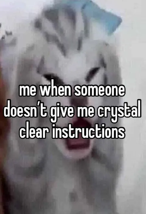 Cat Needs Clear Instructions