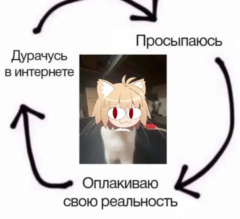 Цикл прокрастинации и реальности
