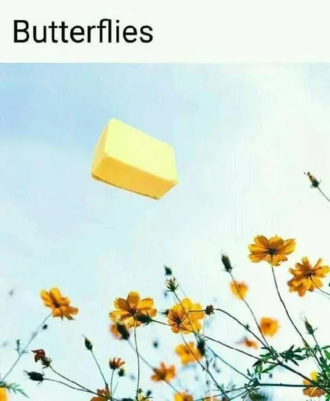 Butterflies Butter Block