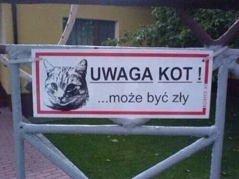 Uwaga kot może być zły