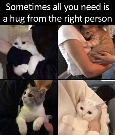 Sometimes All You Need Is a Hug
