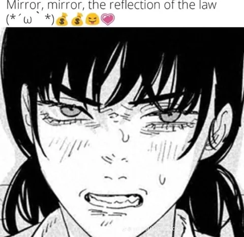 Mirror Mirror Reflection of the Law