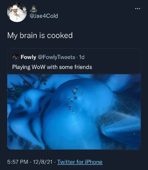 My Brain Is Cooked Playing WoW