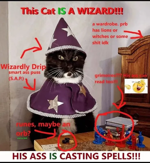 Wizard Cat Casting Spells