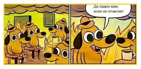 Всех не отчислят