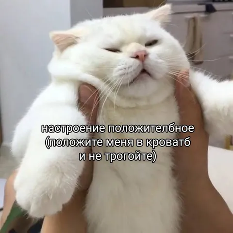 Положите меня в кровать
