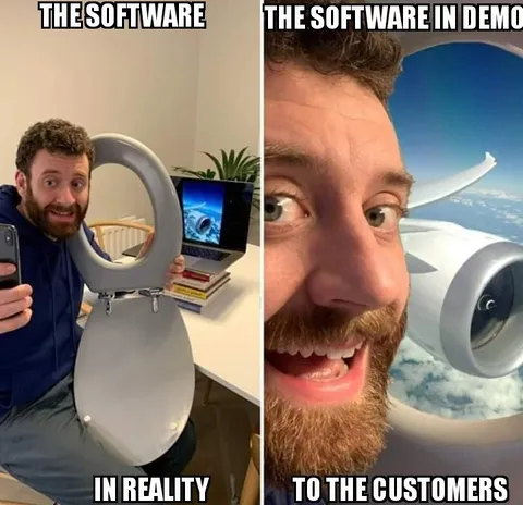 Software Demo vs Reality
