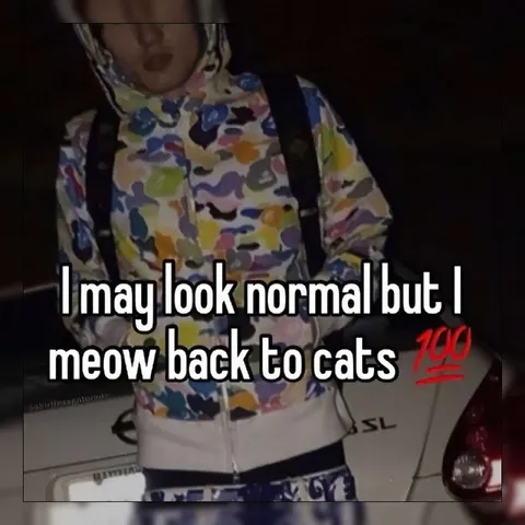 Meowing Back to Cats