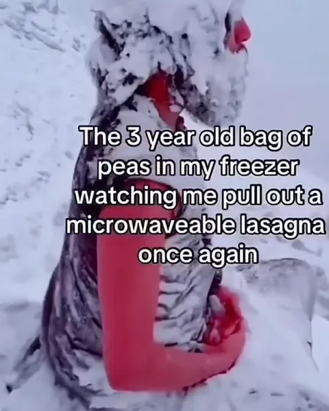 Three-Year-Old Peas in the Freezer