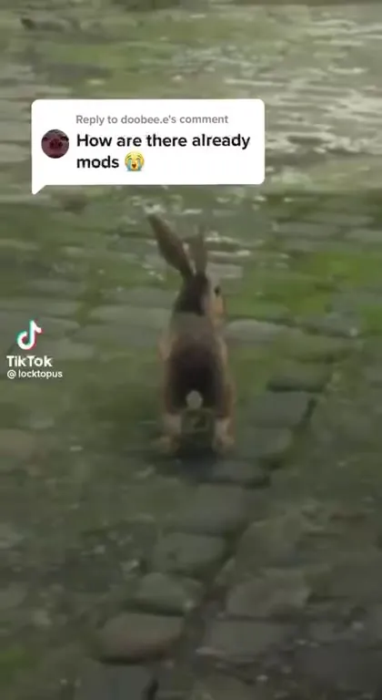 Dobby Already Has Mods