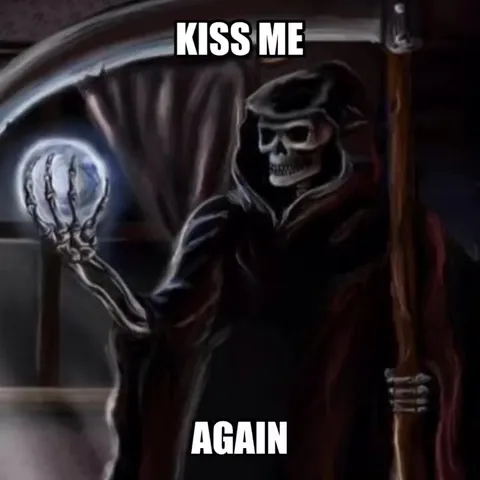 Kiss Me Again Cat Metal Video