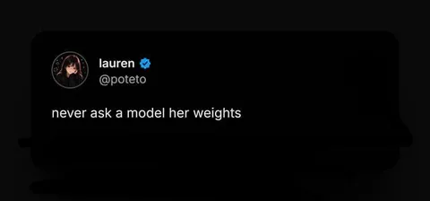 Never Ask a Model Her Weights
