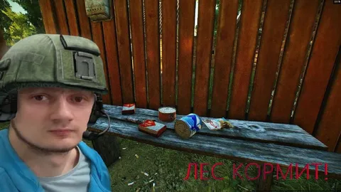 Лес кормит!