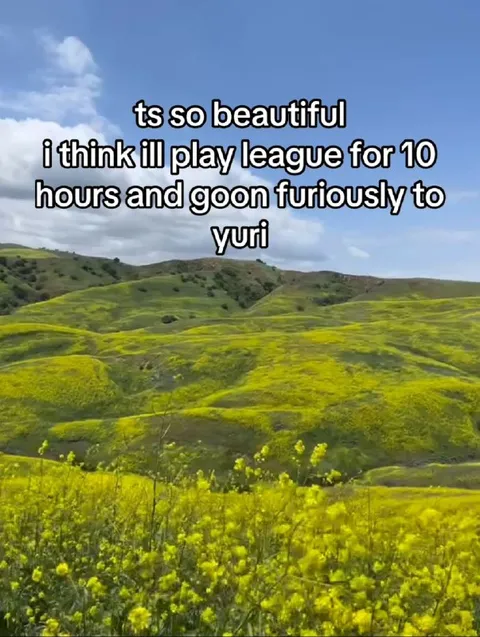 Beautiful Scenery, Degenerate Plans