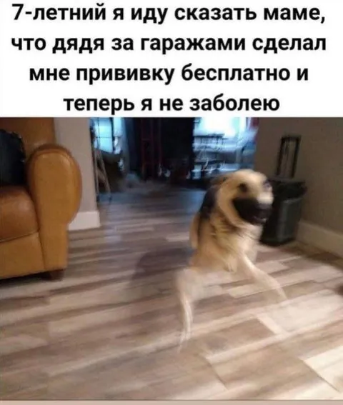 Секретная прививка за гаражами