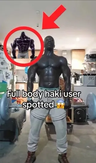 Full Body Haki User Spotted