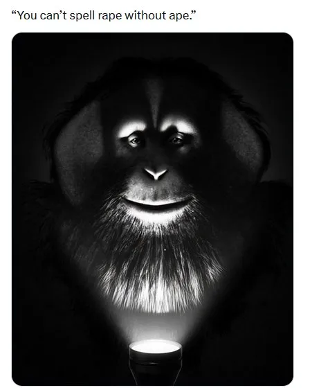 You Can't Spell Rape Without Ape