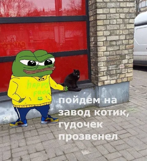 Пойдём на завод котик