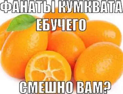 Фанаты кумквата и ебучего смеха