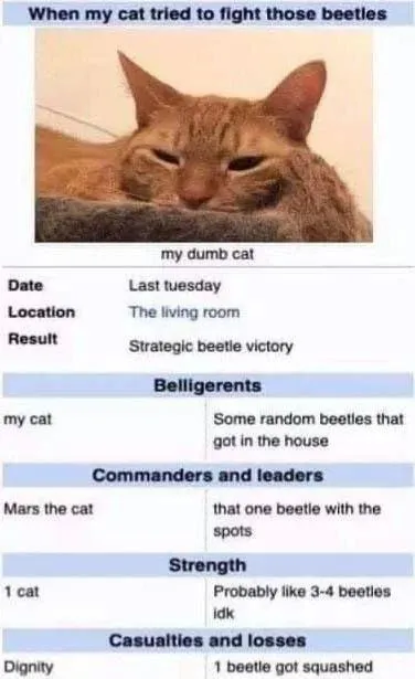 Cat Loses Battle to Beetles