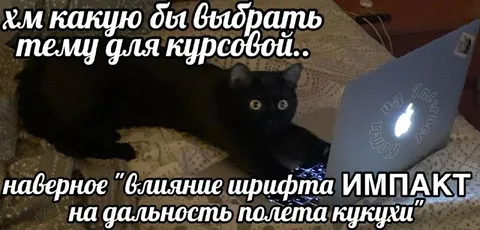 Тема для курсовой про кукуху